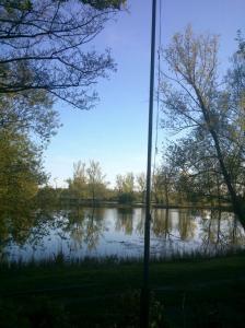 Nur ein Mast versperrt die Sicht auf den idyllischen Teich. 