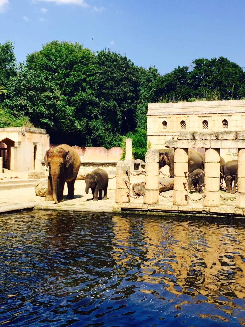 Ooh – wie ist’s schön im&nbsp;Zoo